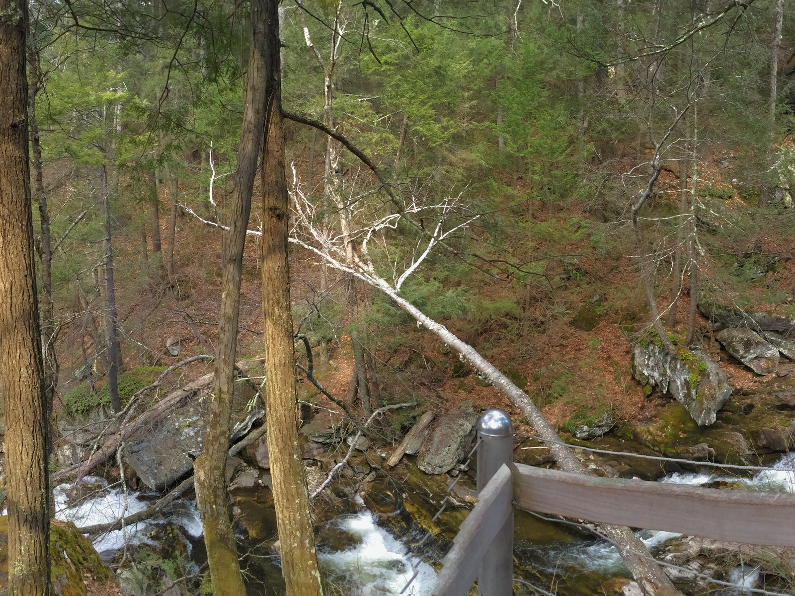 Wooded trail and waterfall at Kent Falls State Park in Kent, Connecticut